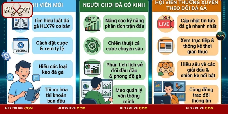 Bất cứ ai cũng có thể sử dụng cẩm nang đá gà tại HLX79