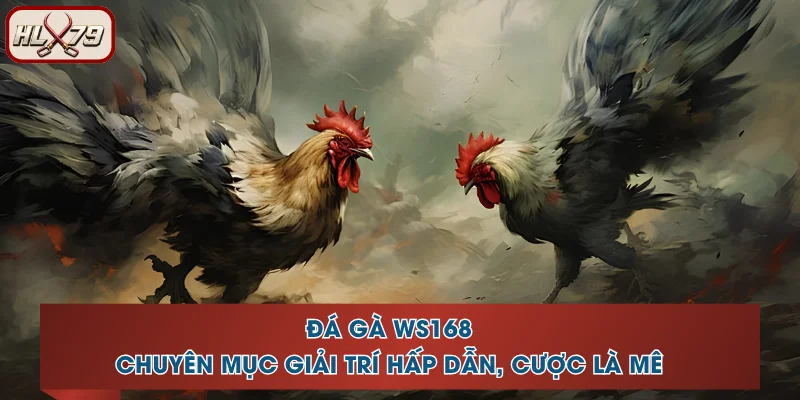 Đá Gà WS168 - Chuyên Mục Giải Trí Hấp Dẫn, Cược Là Mê