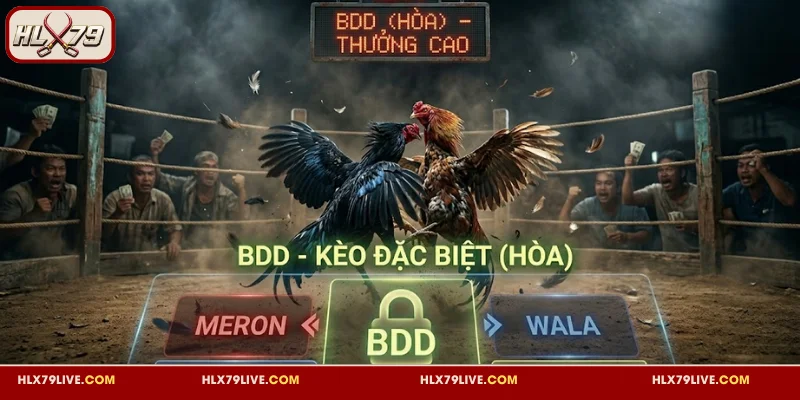 Giải mã kèo BDD HLX79 đá gà