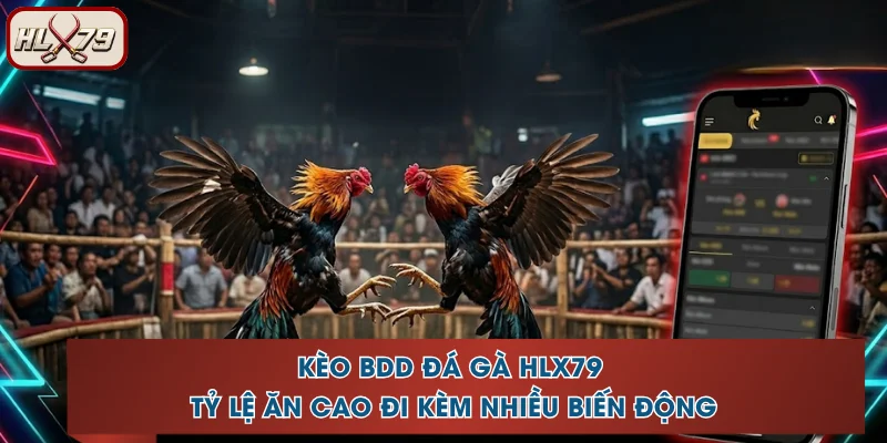 Kèo BDD HLX79 Đá Gà - Tỷ Lệ Ăn Cao Đi Kèm Nhiều Biến Động