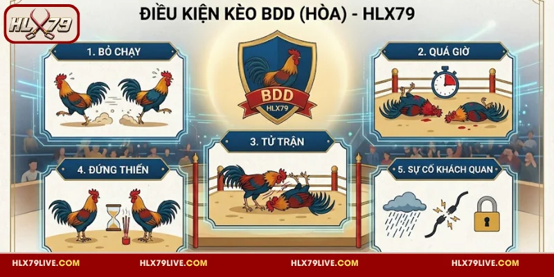 Quy định áp dụng kết quả BDD trong đá gà