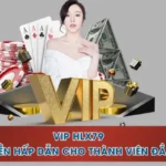 VIP HLX79 - Đặc Quyền Hấp Dẫn Cho Thành Viên Đẳng Cấp